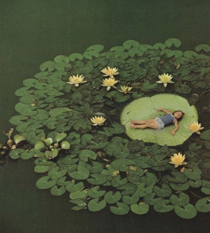 5 Ways to find your Peace