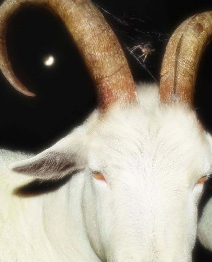 Full Moon in Capricorn ~ 11 July
