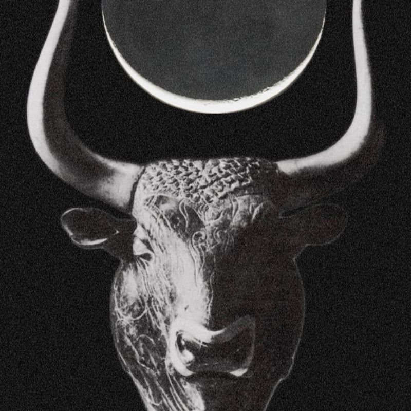 New Moon in Taurus
