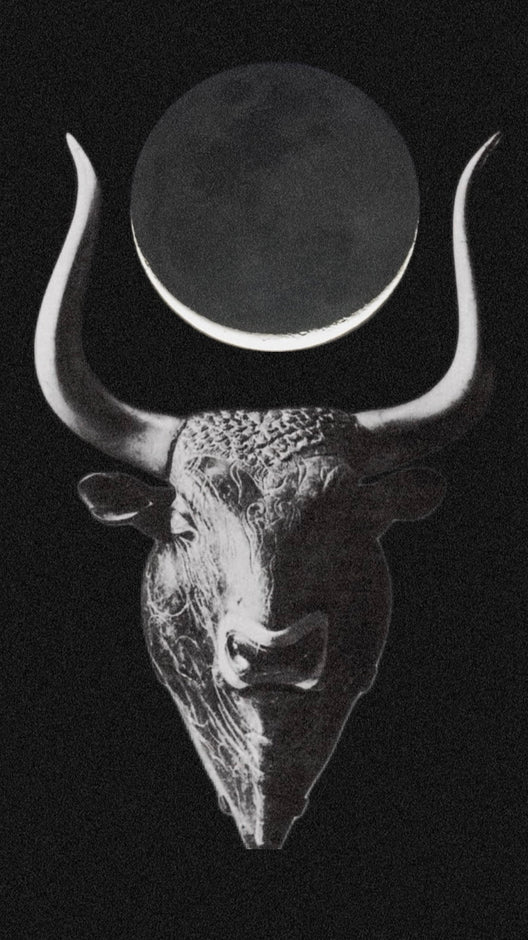 New Moon in Taurus