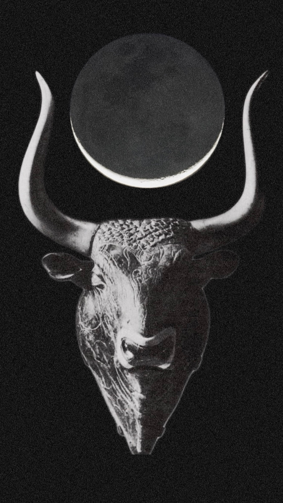 New Moon in Taurus