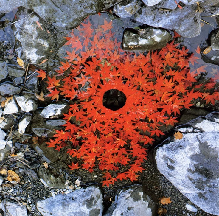 The Seasons Between Seasons