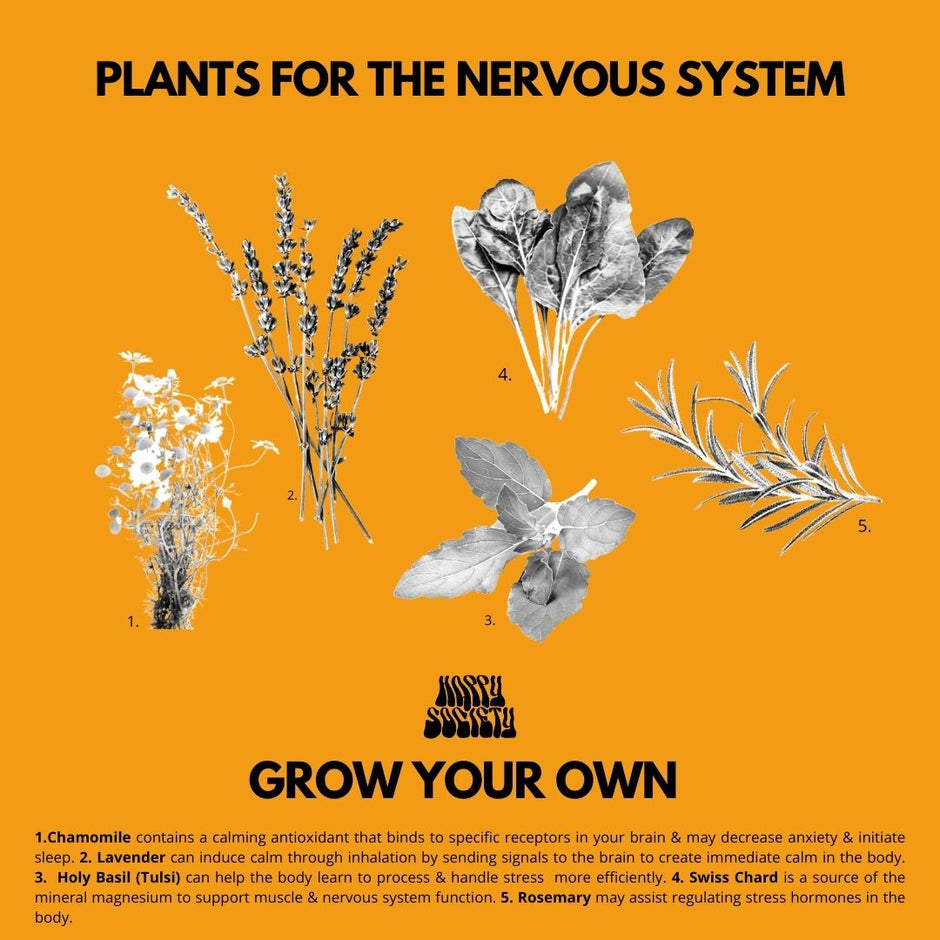 Grow Your Own