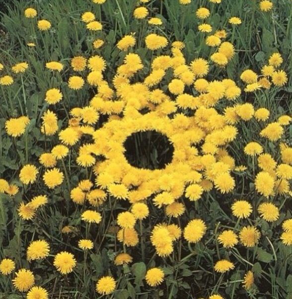 How We're Celebrating the Spring Equinox