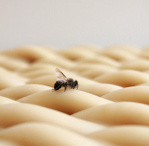 Beeswax Candles