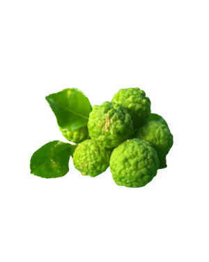 Bergamot
