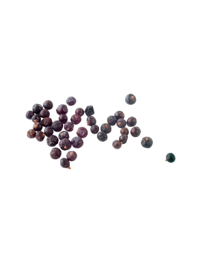 Juniper Berry
